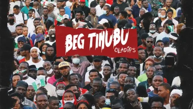 Oladips – Beg Tinubu 