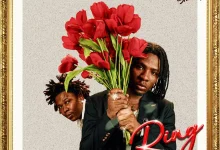 Joeboy – Ring feat Shoday 