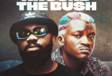 Magnito – Beat Around the bush feat Portable 