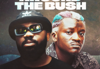 Magnito – Beat Around the bush feat Portable 