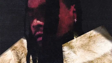 Wale – YSF and BigHead