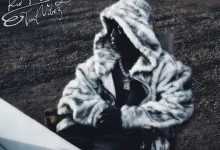 Tml Vibez –A Street kid Diary EP