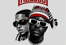 Zoro Swagbag – Nzogbu feat Jeriq 