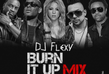 Dj Flexy — Burn It Up (Mixtape)