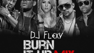 Dj Flexy — Burn It Up (Mixtape)