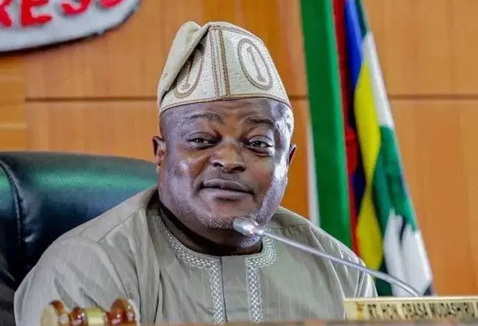 Mudashiru Obasa declares for House of Reps seat