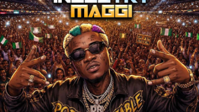 Portable – Industry Maggi