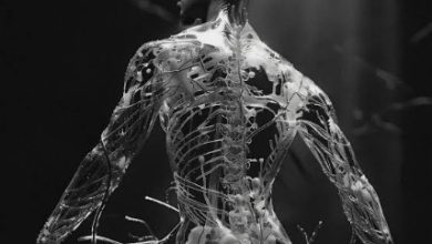 Emo Grae — Grae’s Anatomy(EP)