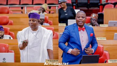 Congratulations my dear sis,Incoming deputy Lagos state governor — Hon Solomon Bonu congratulate Princess Damilola Sonayon