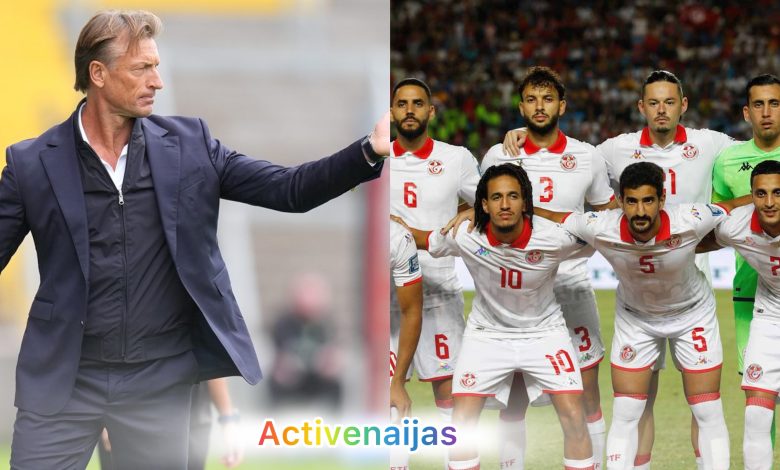 Tunisia Sack Lamouchi, appoint Renard