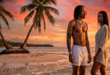 Tekno — Where Did Love Go(ALBUM)