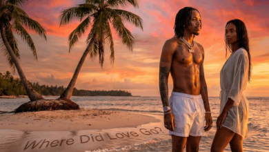 Tekno — Where Did Love Go(ALBUM)