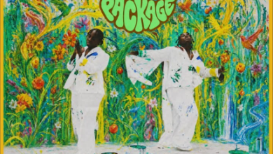 Teni — The Wellness Package (ALBUM)