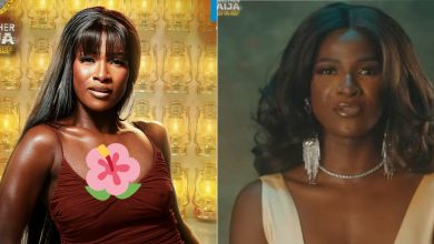 BBNaija S11: “My husband was against me joining the show BBNaija — Abi