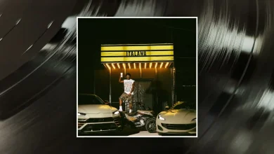 Zlatan — Italawa