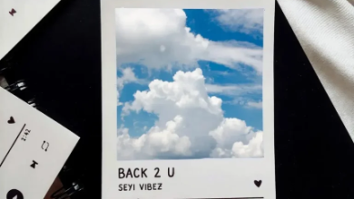 Seyi Vibez — Back 2 U