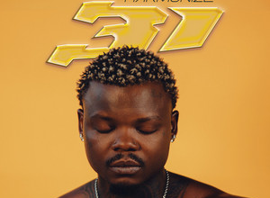 Hermonize — 31 (EP)