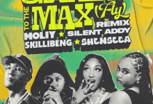 Moliy — Shake It To The Max (Remix) feat Silent Addy ,Skillibeng & Shenseea