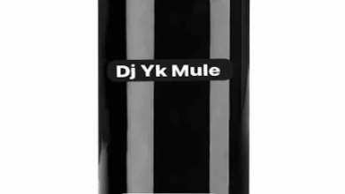 Dj Yk Mule — Blacks Energy